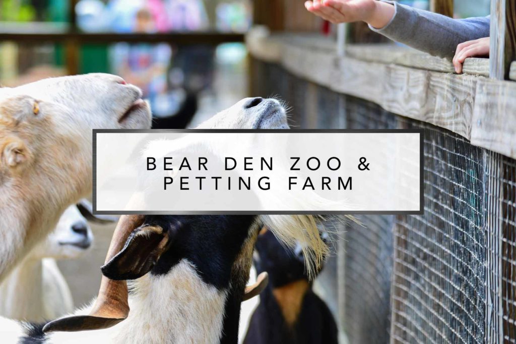 Bear Den & Zoo Petting Farm